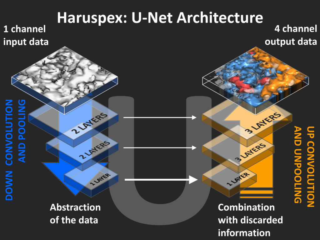 Haruspex U-Net Architecture